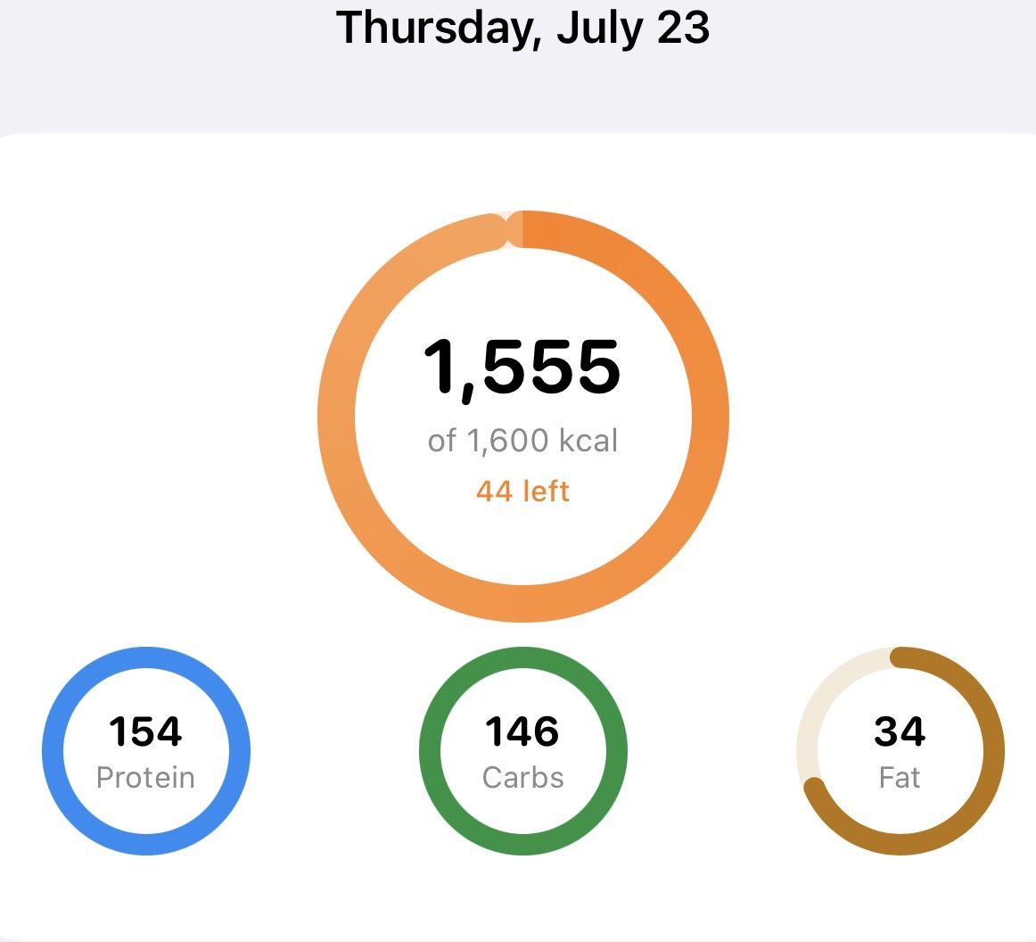 MacroFast showing calorie and macro rings